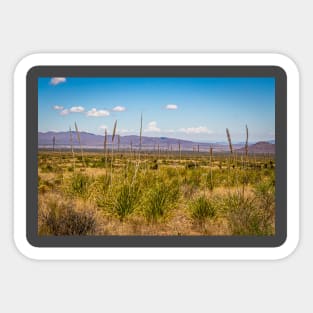 Sotol in the Chihuahuan Desert Sticker